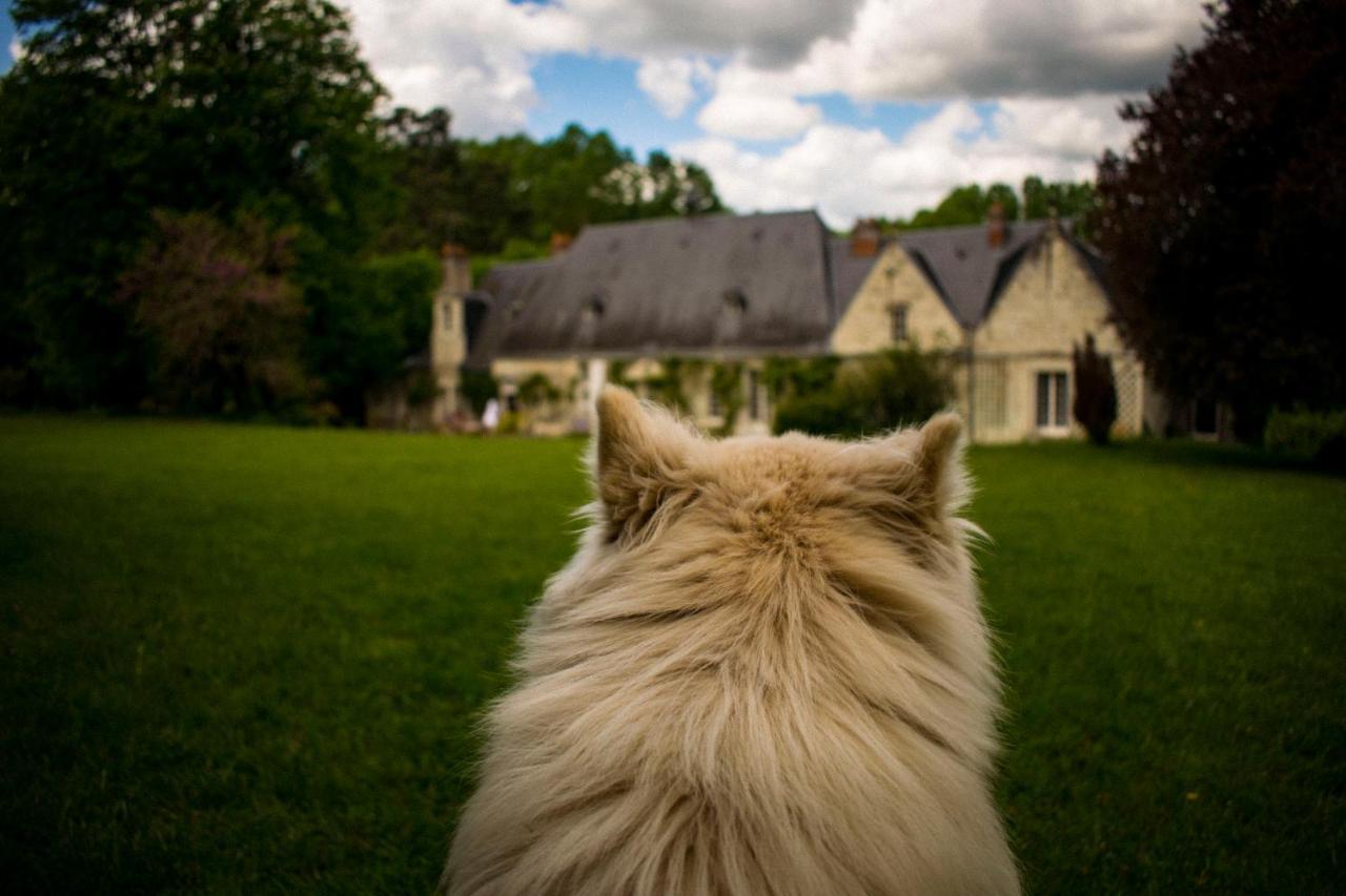 Bed & Breakfast - La Closerie De La Fuye Ballan-Mire Экстерьер фото